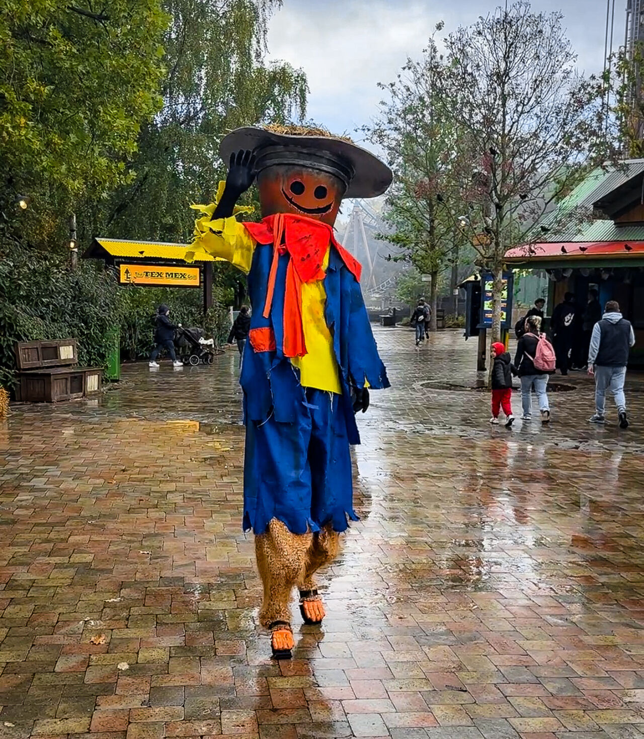 Recent Rides photo