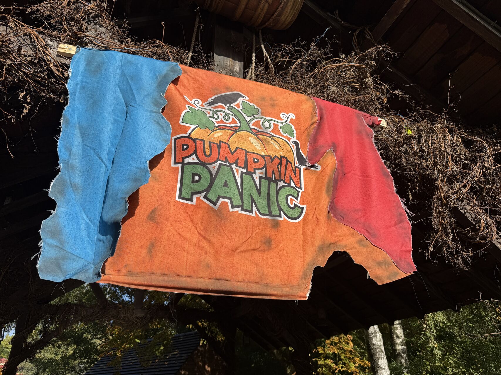 Recent Rides photo