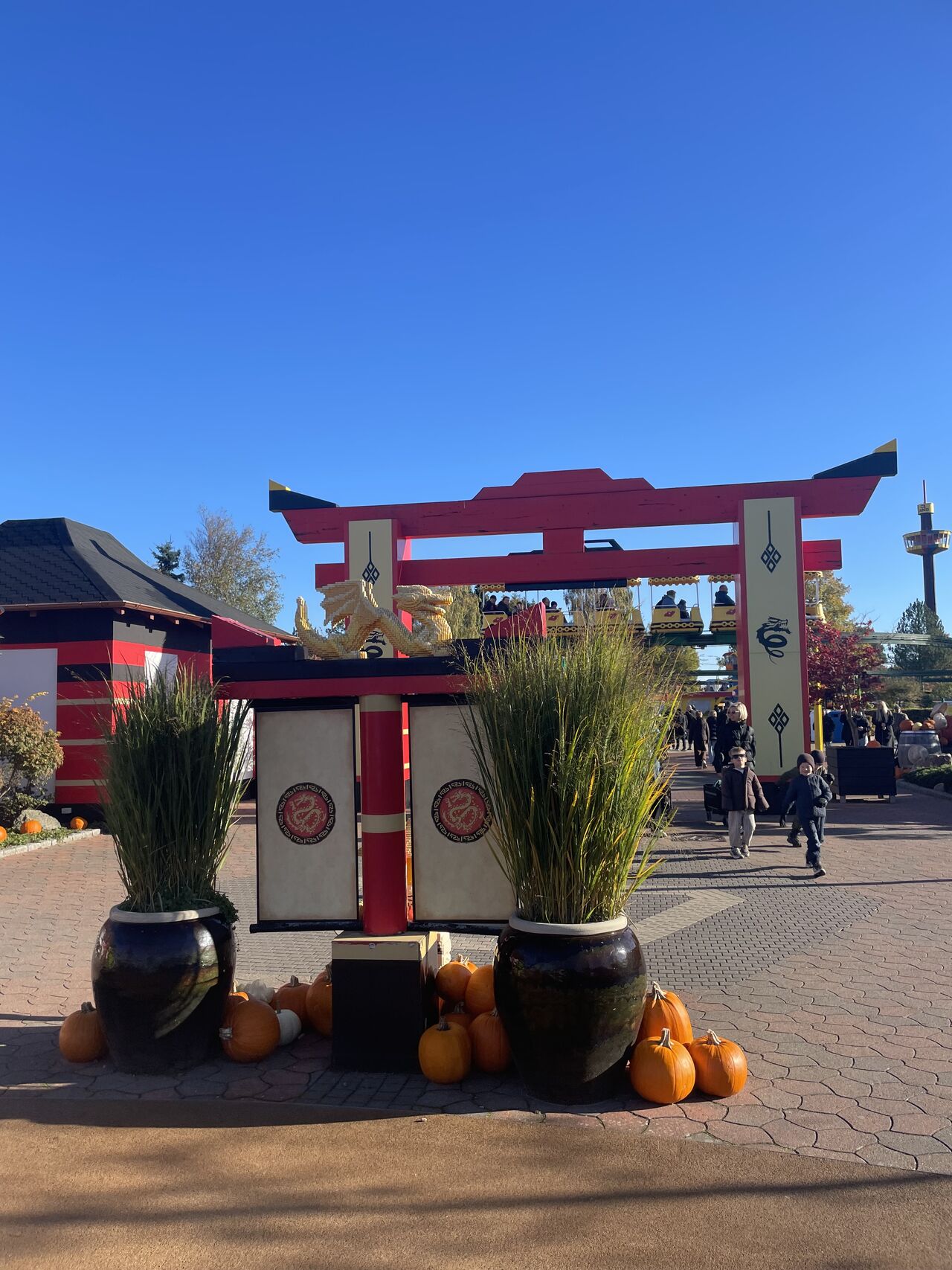 Recent Rides photo