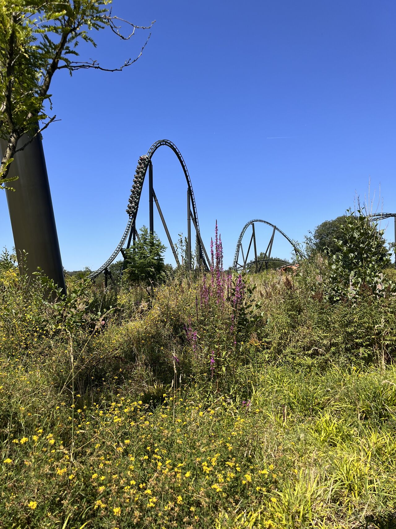 Recent Rides photo